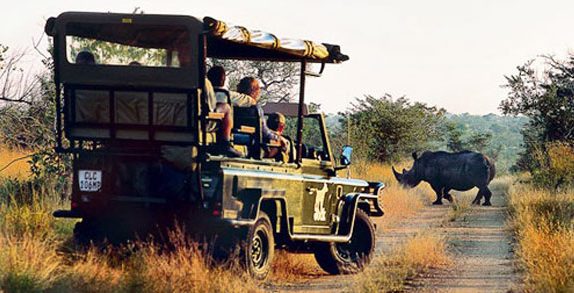 Viaje de Novios: Parque Kruger - Sudáfrica.