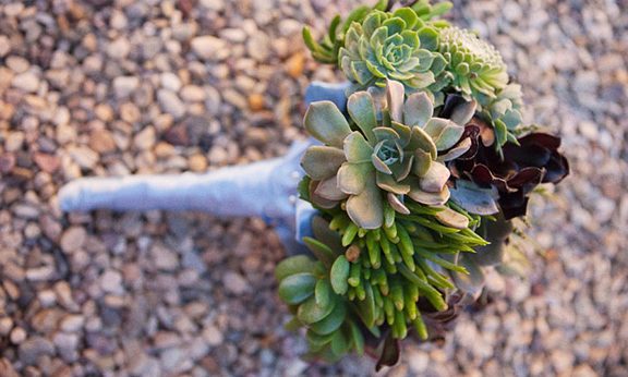 Las suculentas una alternativa original a las tradicionales flores