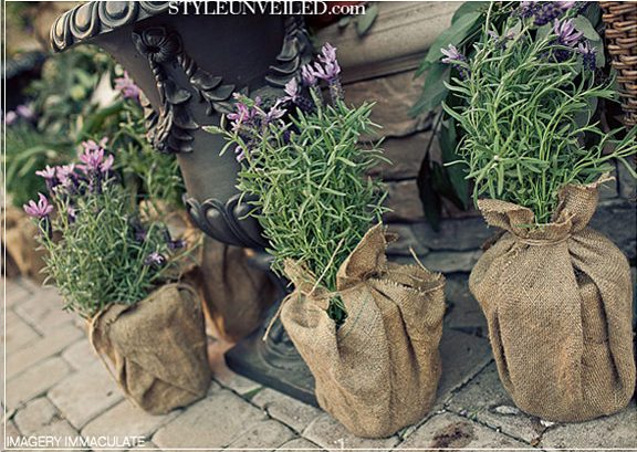 Aromáticas en tu boda. Un estilo provenzal y mediterraneo