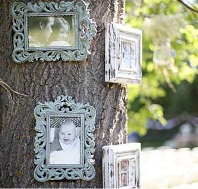 Decoración de árboles en las bodas