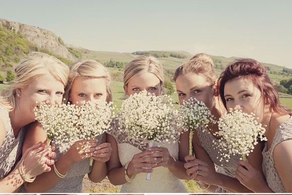 Decora tu boda con paniculata