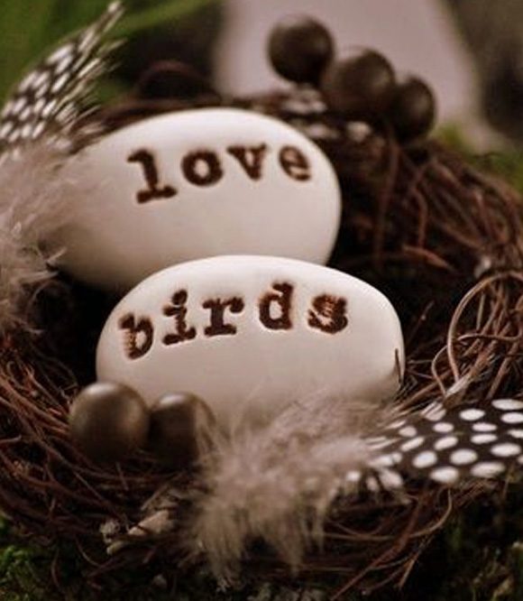 Decoración de boda con pájaros 1 huevos plumas