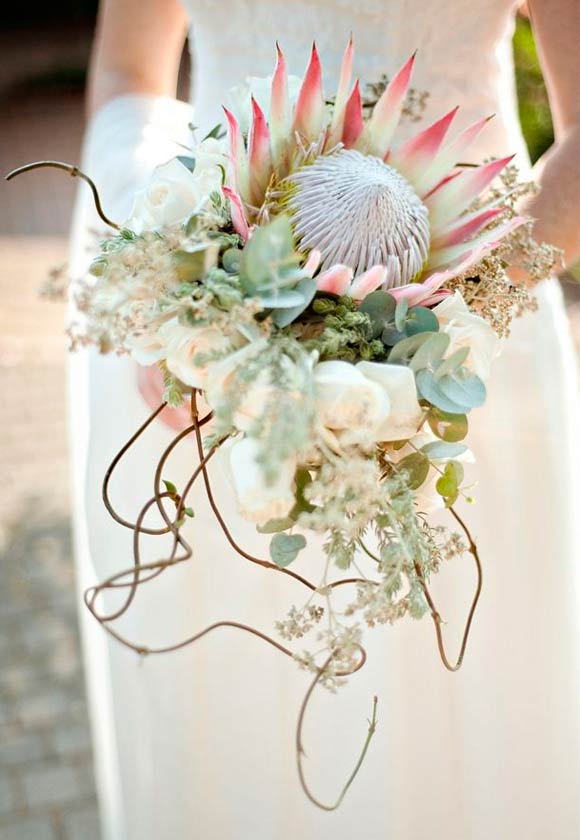 Protea: Flor exotica para tu boda