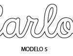 MODELO 5