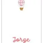 MODELO 15 - GLOBO ROSA