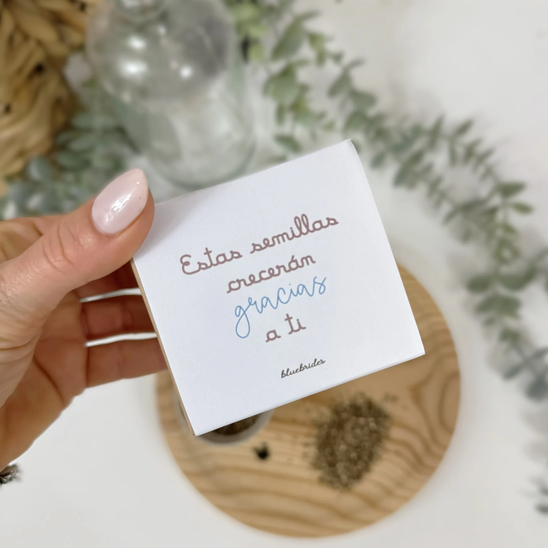 Maceta detalle invitados FRASE